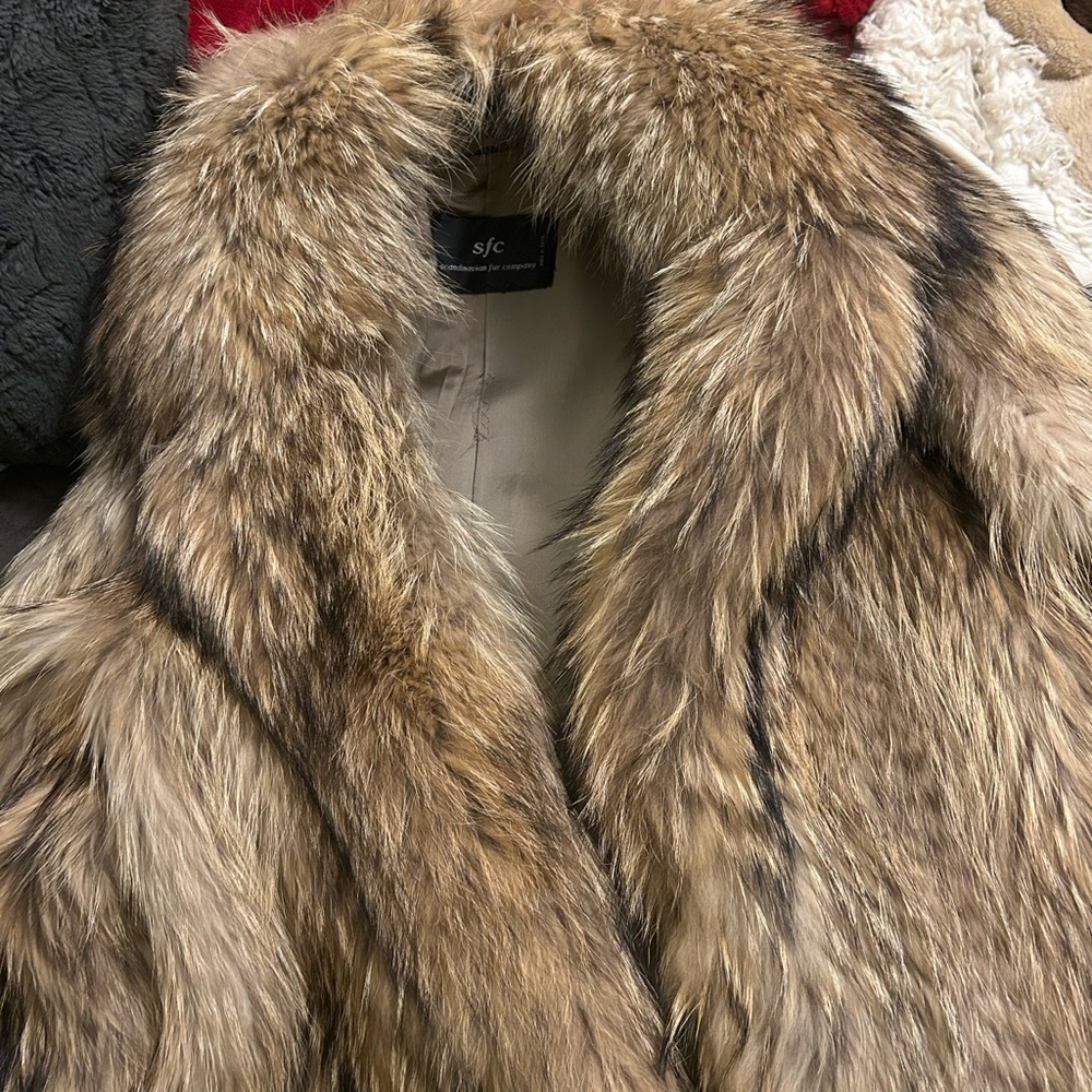 Sex and the City - Carrie Bradshaw- Genuine Tanuki Racoon Fur Coat by SFC - Picture 2 of 9